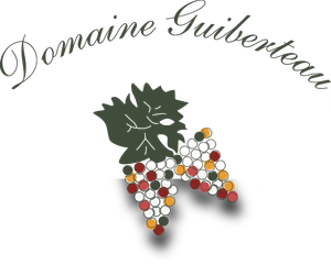 Domaine Guiberteau