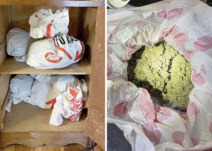 Police News... Mundoora man busted with 2.5kg of cannabis