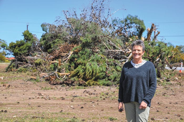 Improving community at Edithburgh