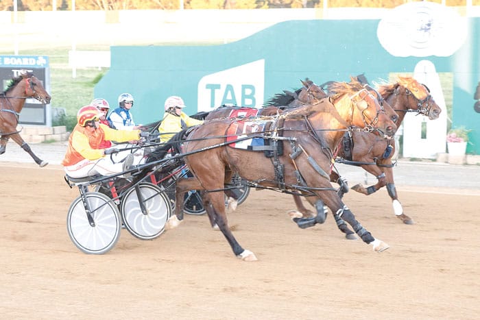 YP Harness Racing Club news