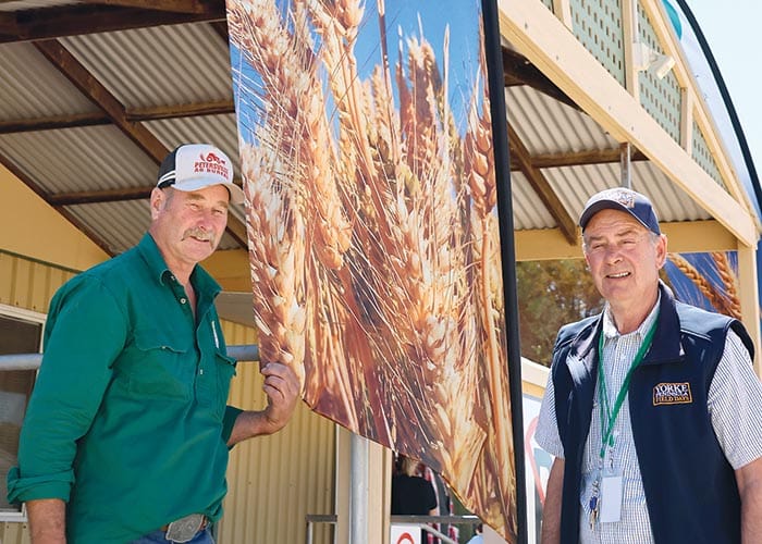 Agricultural Bureau of SA undergoes refresh