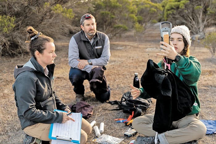 BABY BOOM - Bettong breeding a sign of success