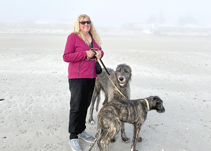 What the fog?