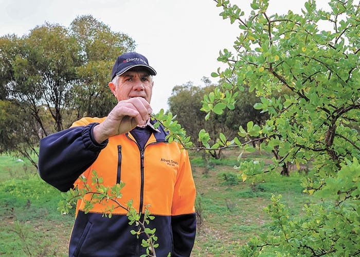 BWC questions value of landscape board