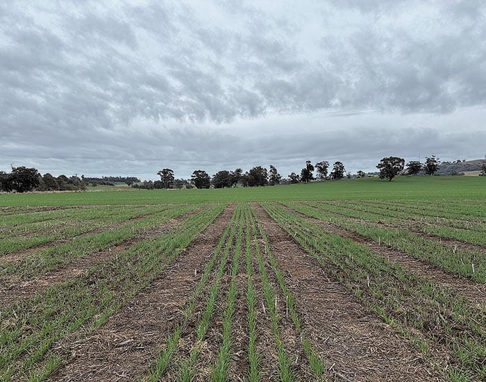 $17m research project to unlock fertiliser potential