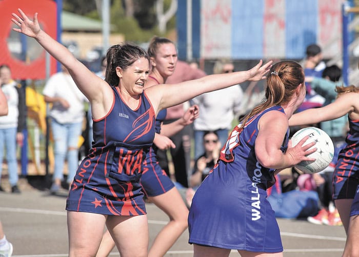 Yorke Peninsula netball scores and reports