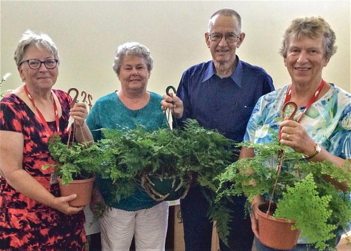 Warooka garden club members’ ferns focus