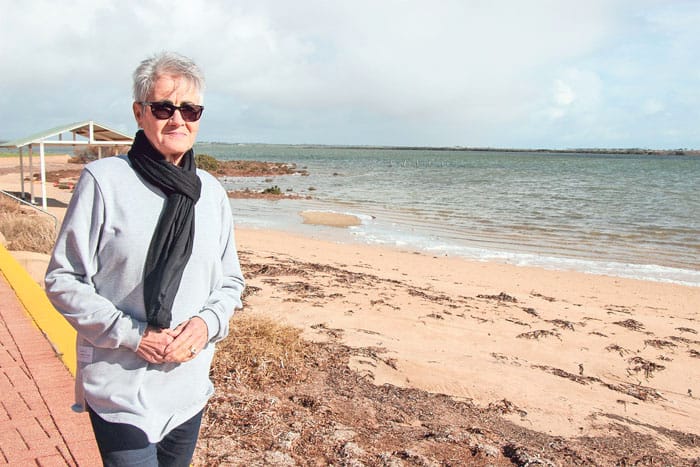 Coastal protection for Pt Broughton