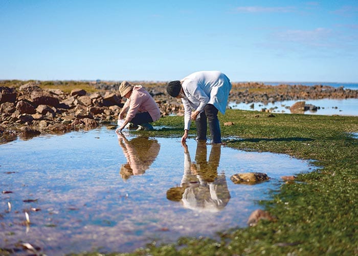 Saltbush Country art on show at Port Pirie