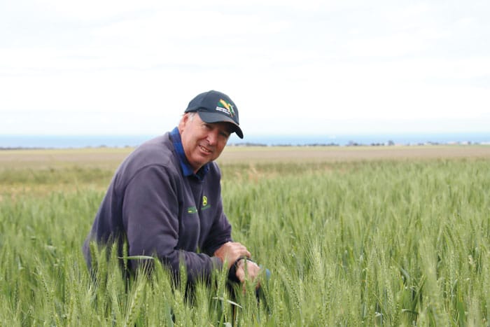 Showers bring crops growing hope