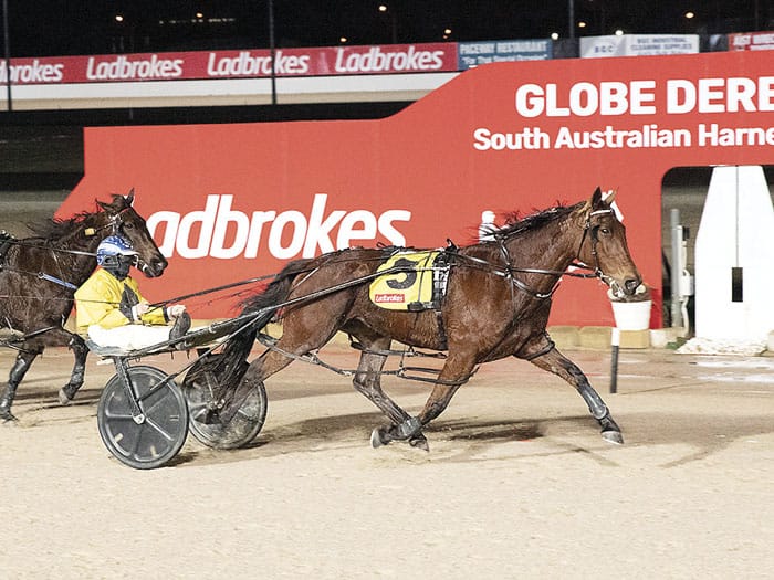 YP harness racing news