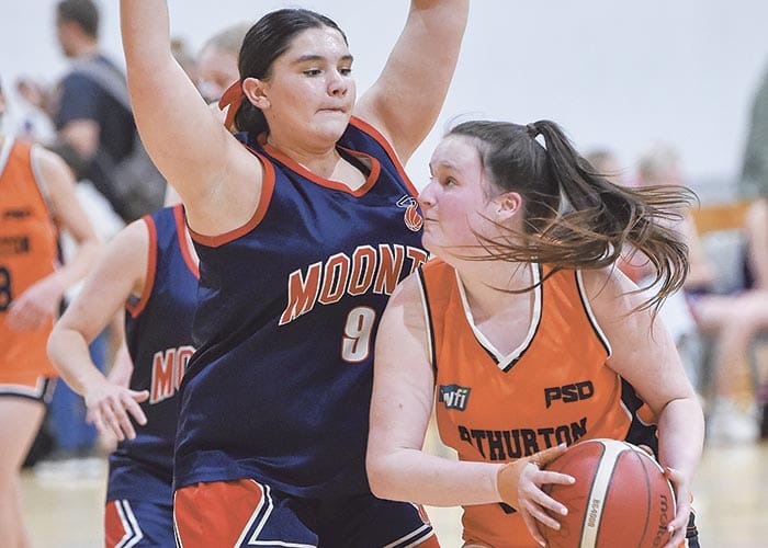 Yorke Valley basketball