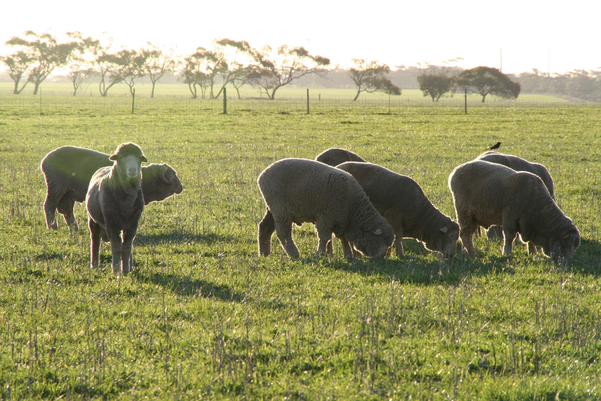 Welcome to ‘21 ram sales