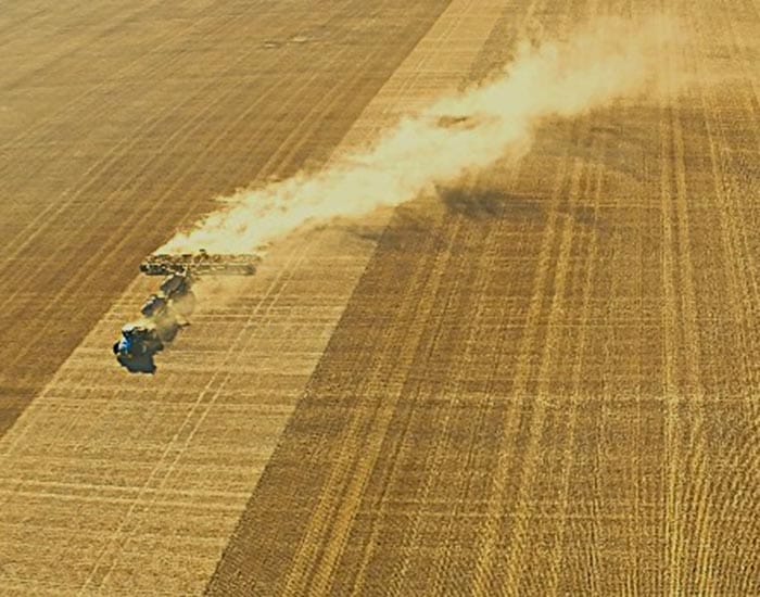 Harvest down for 2024-25