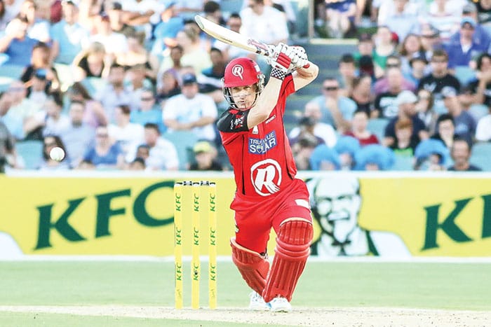 Daniel Harris: A dual career in cricket and medicine