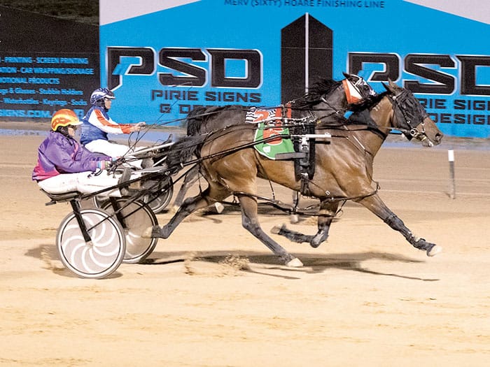 YP Harness Racing Club