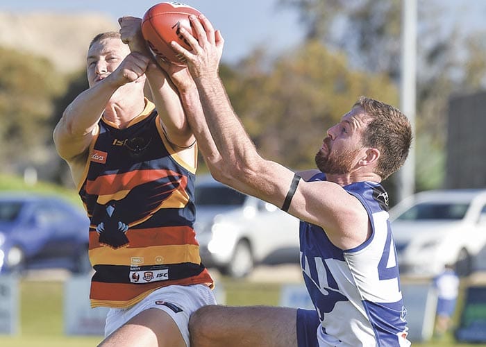 Crows fly high into second half