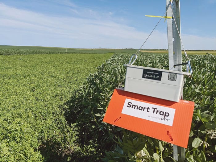 Counting bugs in SYP crops