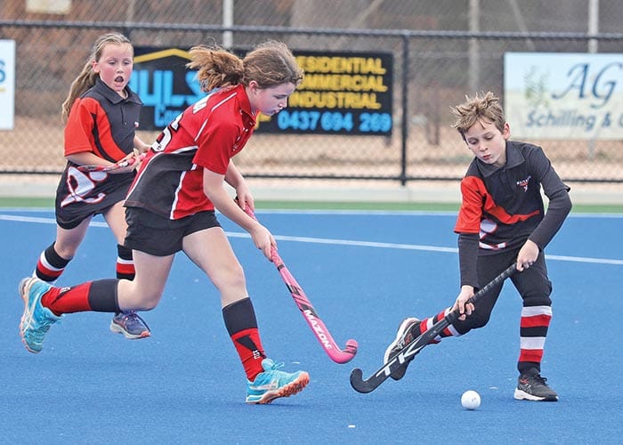 YP hockey scores and reports