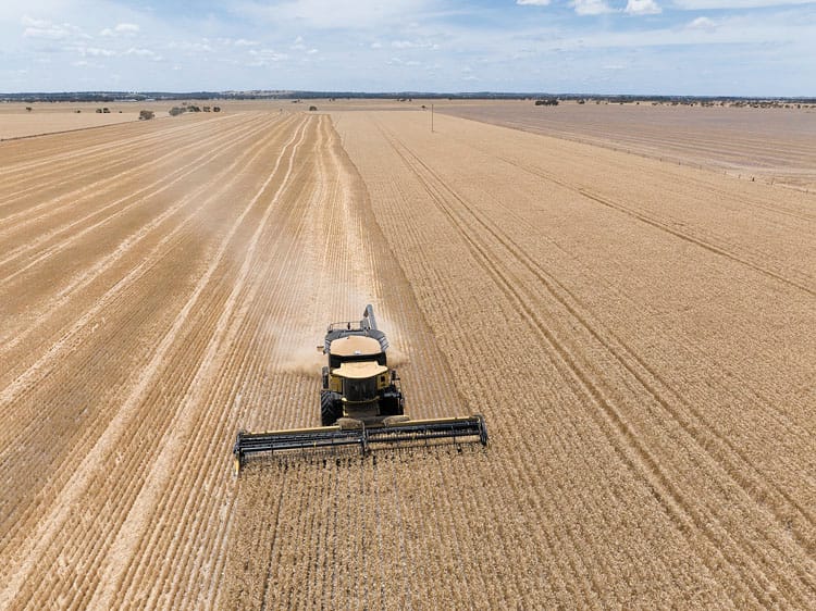 Prime location in continuous crop country