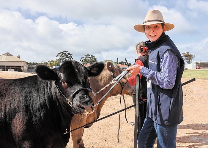 Schools compete at Copper Coast Show