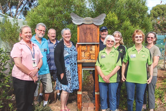 Bees’ B ‘n’ Bs