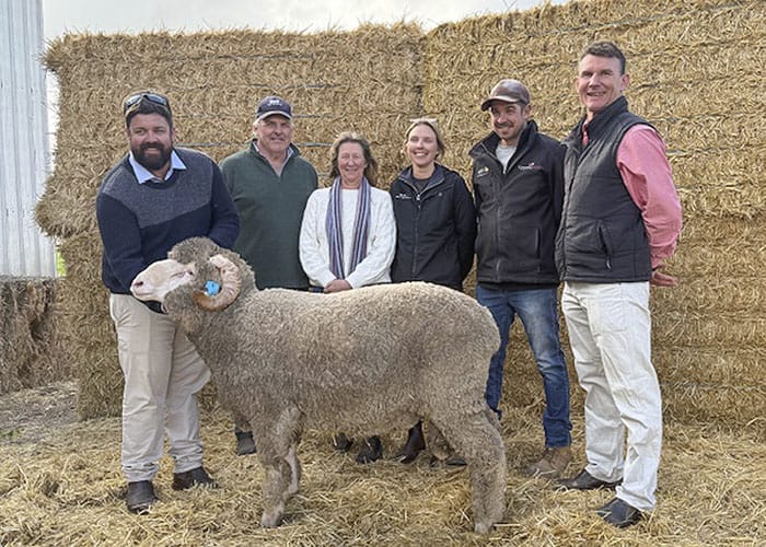 Record broken at North Cowie Ram Sale