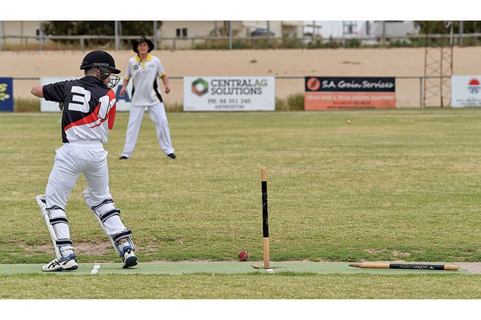 Cricket: LYPCA and YPCA scores