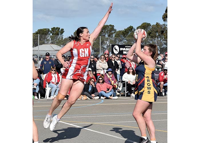 YPNA scores and reports