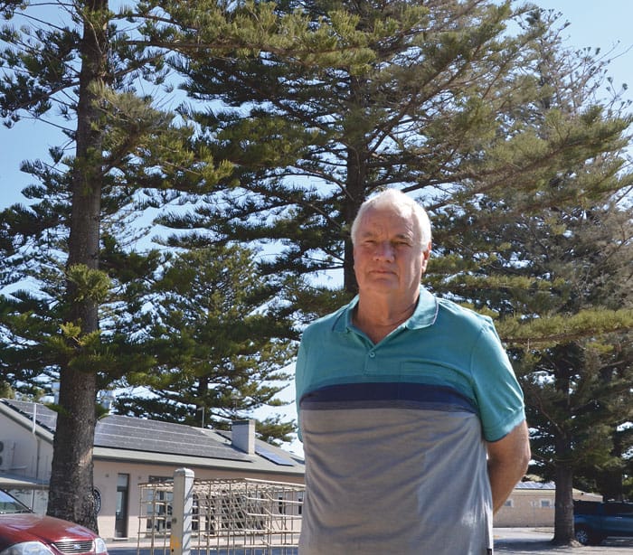 Shagged - Cormorants wreaking havoc at Stansbury