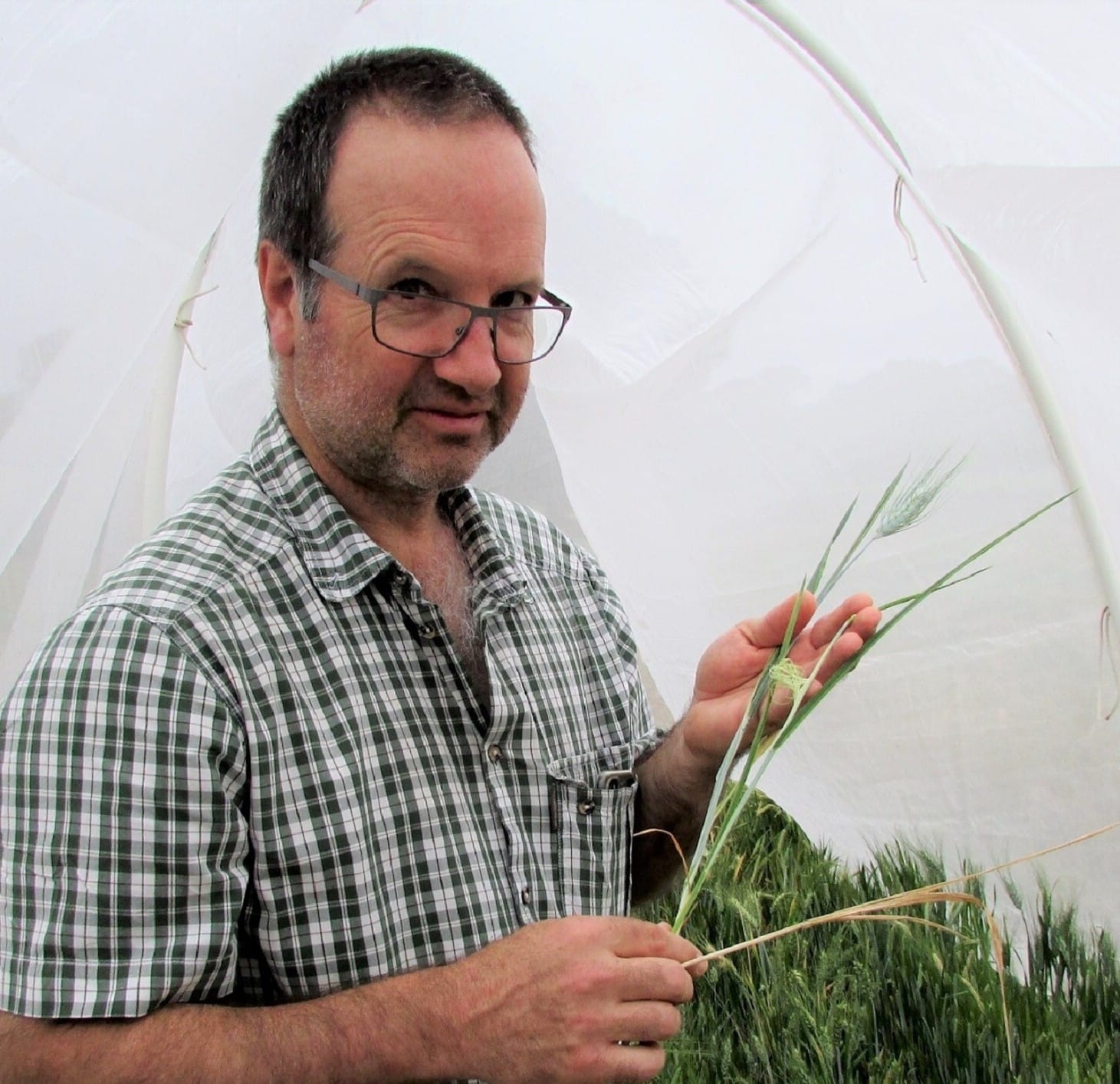 The latest in grains research knowledge at Crystal Brook