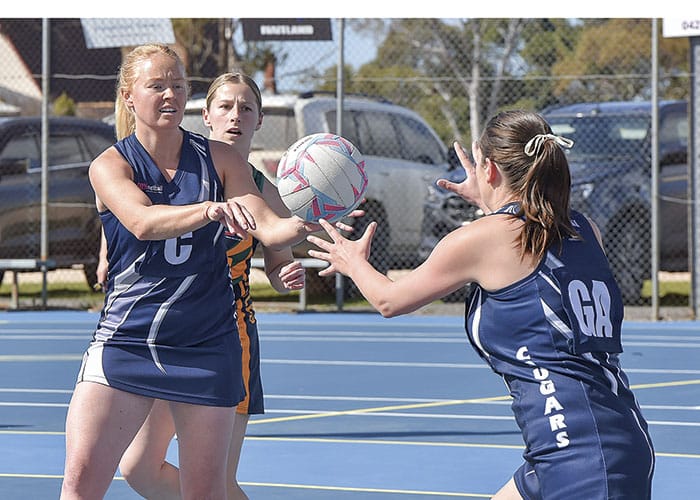 Netball: YPNA roundup - Top four roll on!