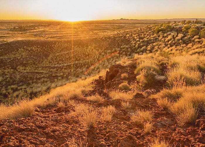 Dramatic changes needed to land management