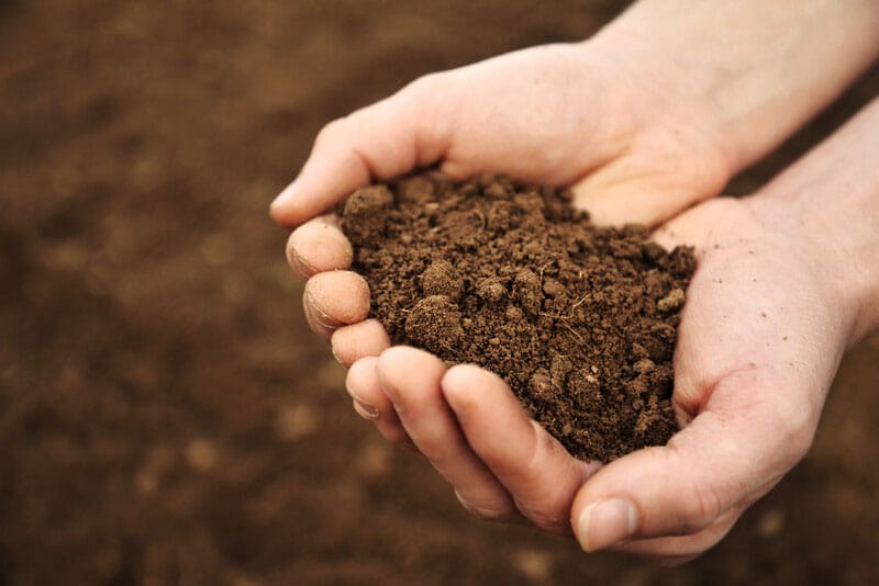 PIRSA project battles with local soil acidity