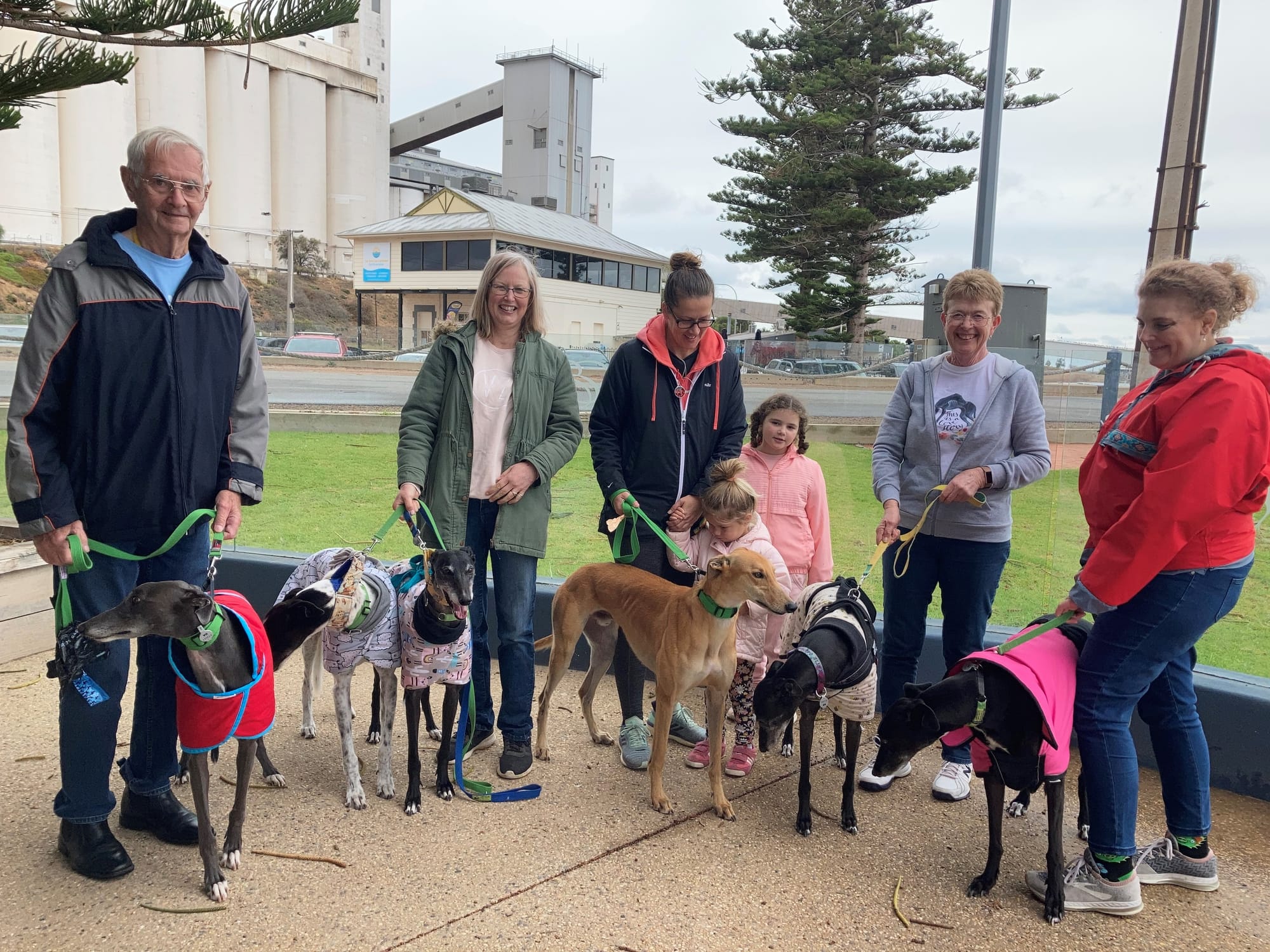 Friendship for Copper Coast greyhounds