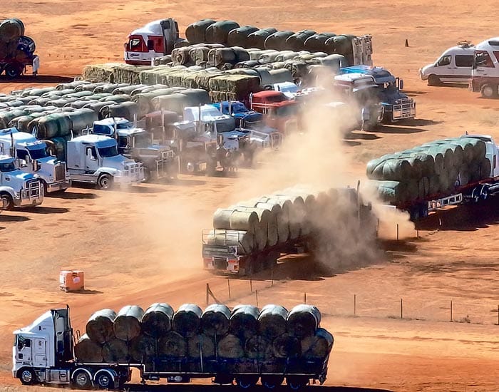 Hay delivered to state’s drought-affected farmers