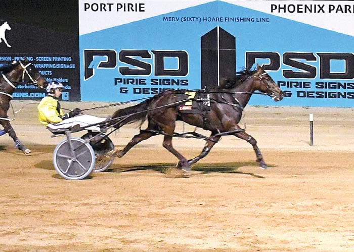 Port Pirie harness racing