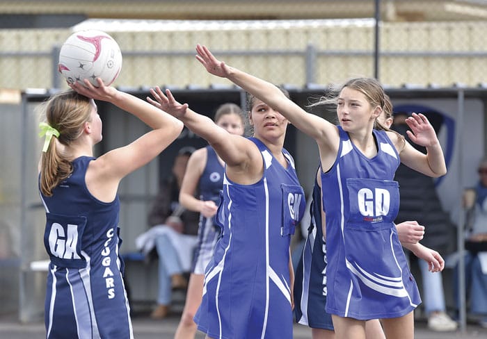 Netball: YP netball scores and reports