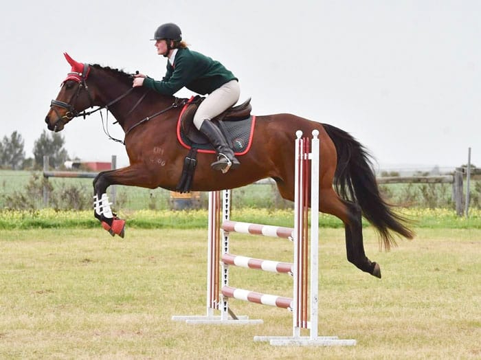 Thoroughbred Racing SA backs pony club safety