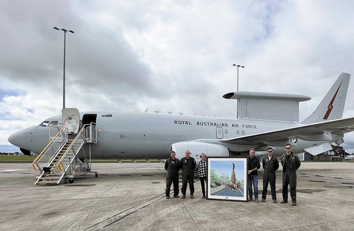 Mark’s artwork soars to new heights