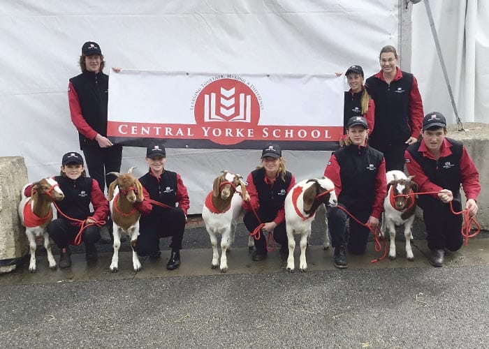 YP schools win big at Royal Adelaide Show