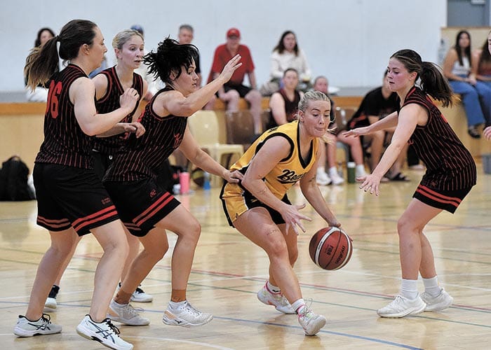 Yorke Valley basketball