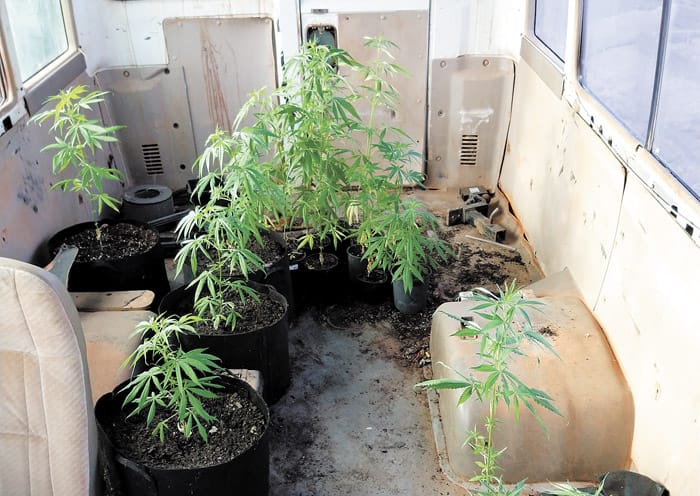 Yorketown man arrested