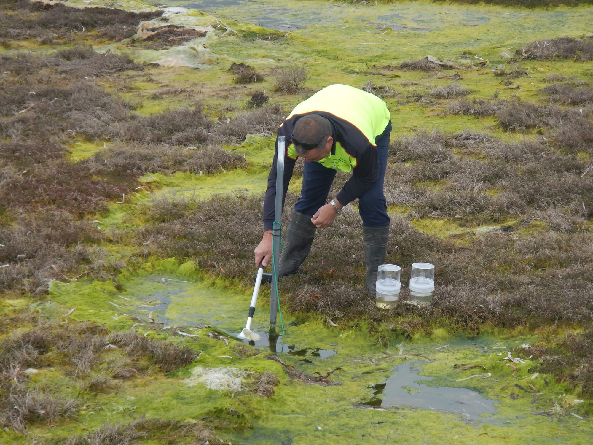 Mosquito management in Barunga West