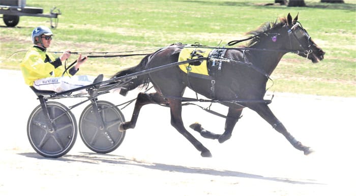 Coco Mia wins on debut