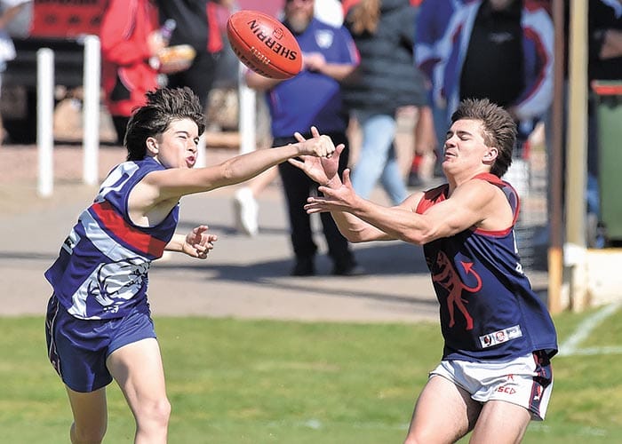 YPFL Snr Colts... Strong first quarter earns win for Dogs