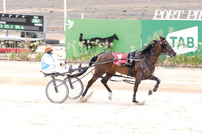 YP Harness Racing Club