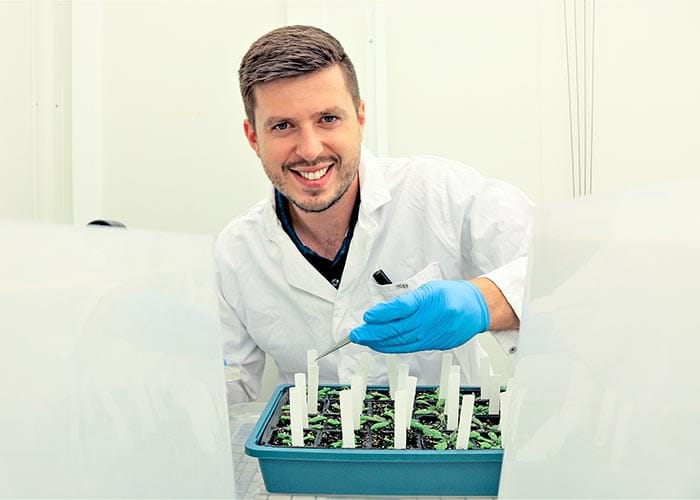 Discovery to improve resistance in canola