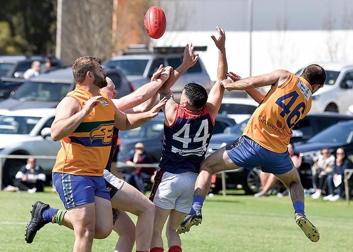 YPFL B grade... Eagles fly over desperate Dees