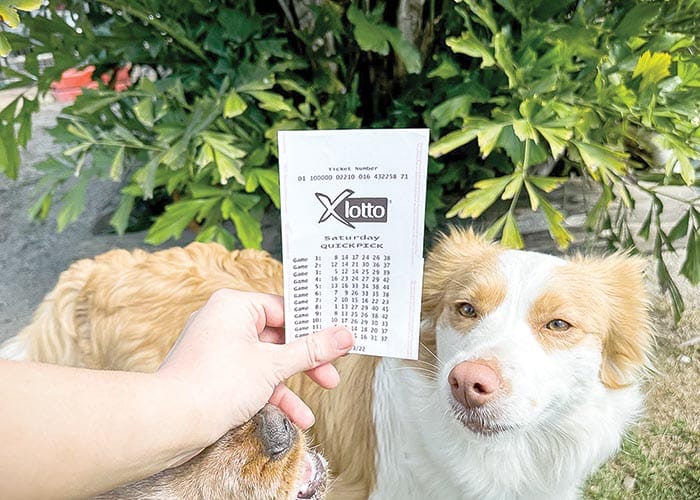 X Lotto win for Yorke Peninsula man, partner and their two dogs